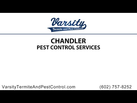 Chandler Pest Control Service by Varsity