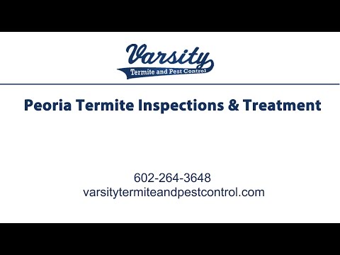 Peoria Termite Inspections &amp; Treatment | Varsity Termite and Pest Control