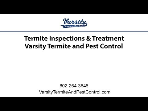 Termite Inspections &amp; Treatment | Varsity Termite &amp; Pest Control