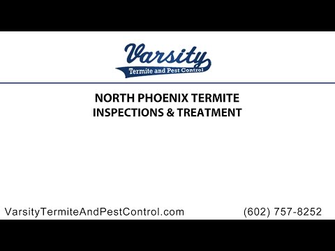 North Phoenix Termite Inspections and Treatment By Varsity