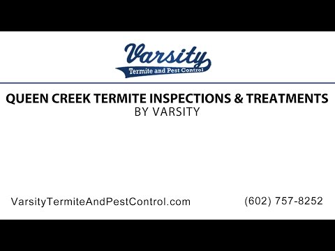 Queen Creek Termite Inspections &amp; Treatments by Varsity Termite &amp; Pest Control