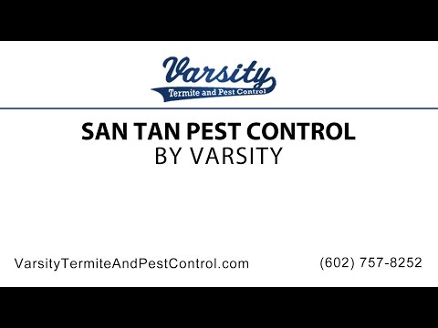 San Tan Pest Control | Varsity Termite &amp; Pest Control