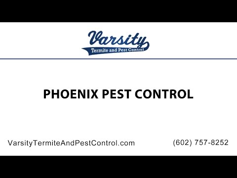 Phoenix Pest Control by The Varsity Team