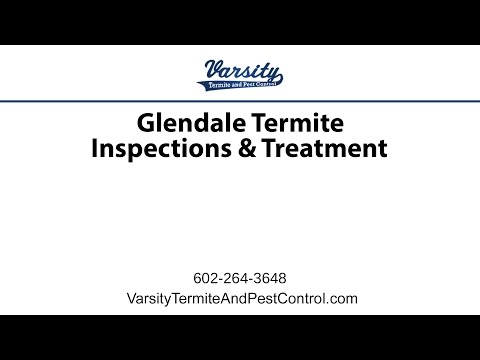 Glendale Termite Inspections &amp; Treatment with Varsity