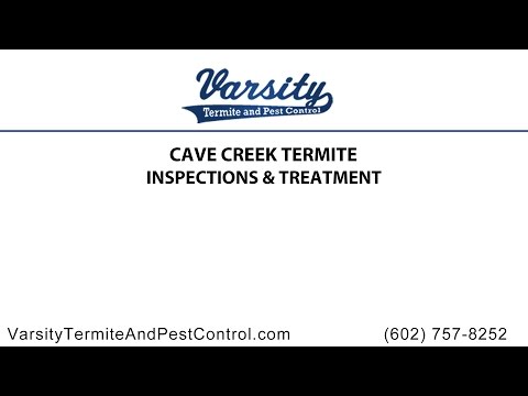 Cave Creek Termite Inspections and Treatment By Varsity