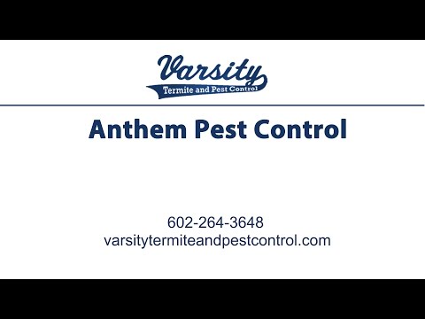 Anthem Pest Control | Varsity Termite &amp; Pest Control