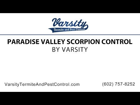 Paradise Valley Scorpion Control | Varsity Termite &amp; Pest Control