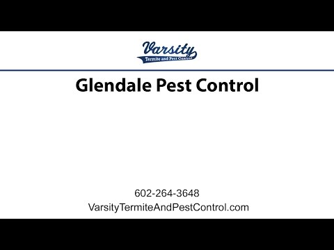 Glendale Pest Control | Varsity Termite &amp; Pest Control