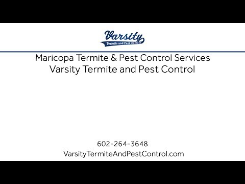 Maricopa Termite &amp; Pest Control Services With Varsity