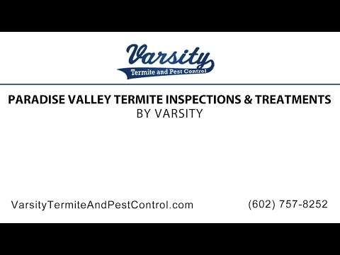 Paradise Valley Termite Inspections &amp; Treatments | Varsity Termite &amp; Pest Control