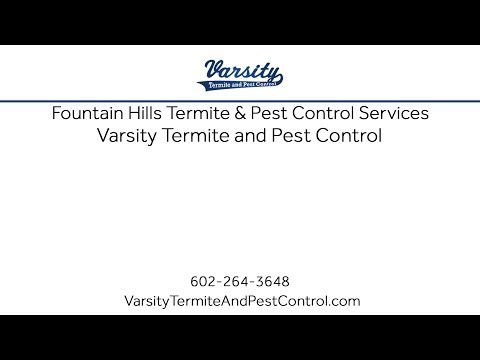 Fountain Hills Termite &amp; Pest Control Services With Varsity