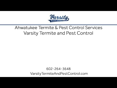 Ahwatukee Termite &amp; Pest Control Services With Varsity