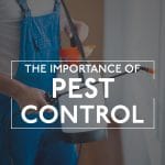 Pest Control Varsity