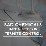 Termite Control Varsity Pest