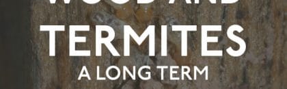 Wood And Termites a Long Term Relationship
