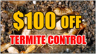 $100 off Termite Control
