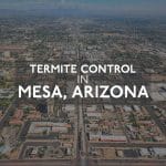 Termite Control, Mesa AZ
