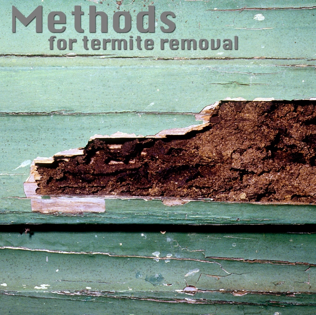 methods for termite removal