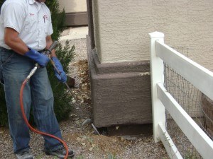 Termite Control from Varsity Termite and Pest Control