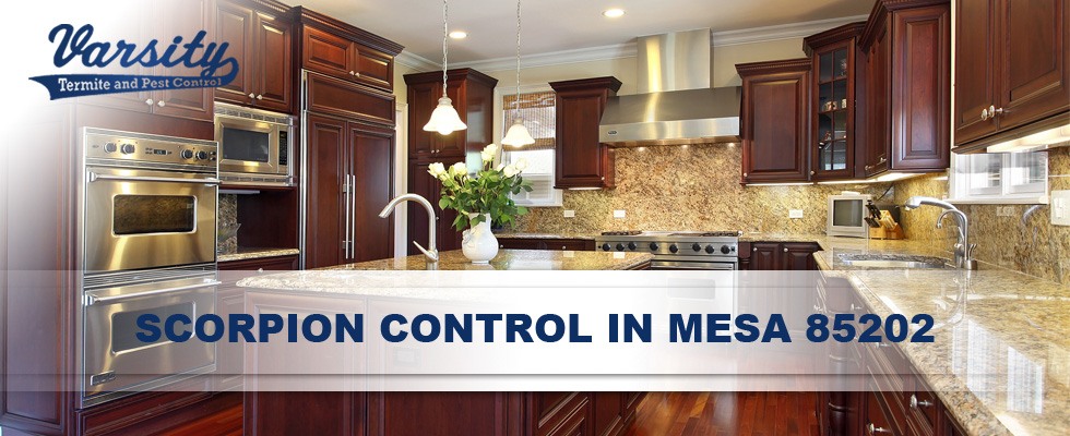 We provide professional scorpion home sealing services throughout Mesa 85202