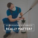 Professional Pest Services