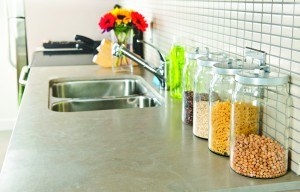 The Importance of a clean kitchen to keep the pests away!