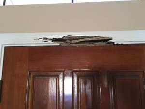 Subterranean termite damage in a Gilbert home