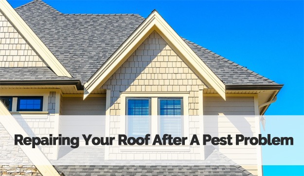 Repairing your Glendale roof after a pest problem