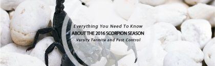 2016 scorpion season