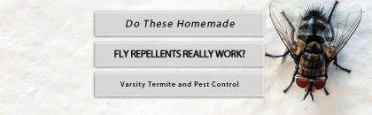 homemade fly repellents varsity