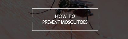 prevent mosquitoes varsity pest
