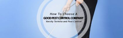 good pest control company