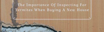 the importance of inspecting for termites when buying a new house
