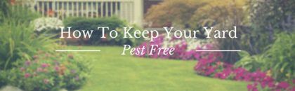 how to keep your yard pest free