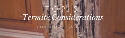 top 5 termite considerations for homeowners