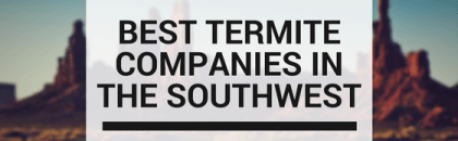 Termite Companies in The Southwest