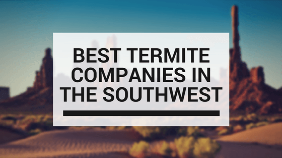 Termite Companies in The Southwest