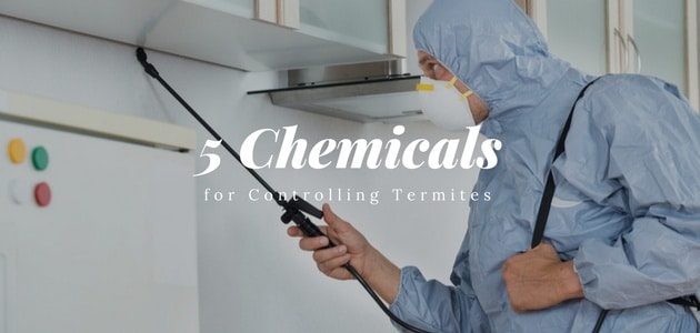 5 chemicals for controlling termites