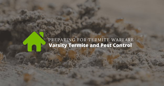 Preparing For Termite Warfare