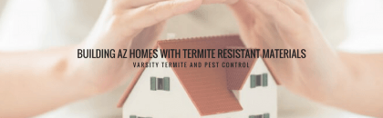 Building AZ Homes with Termite Resistant Materials
