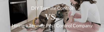 DIY termite control vs. hiring a termite pest control company