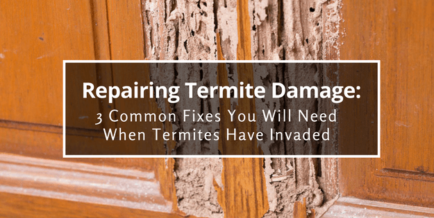 Repairing termite damage: 3 common fixes you will need when termites have invaded