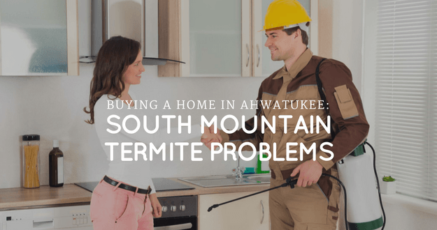 Buying a home in Ahwatukee: South Mountain termite problems