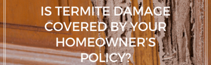 Is termite damage covered by your homeowner’s policy