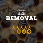 Bee Removal Ahwatukee