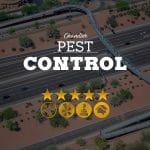 Pest Control in Chandler