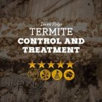 Termite Control and Treatment