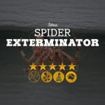 Spider Exterminator in Mesa