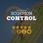 Scorpion Control in Scottsdale 85251