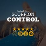 Scorpion Control in Scottsdale 85255